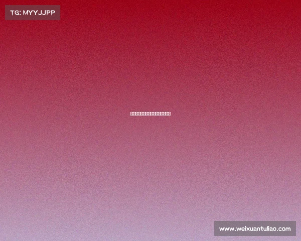 《湘城铠盟:电竞征途的坚毅之盾》 《湘城铠盟:电竞征途的坚毅之盾》